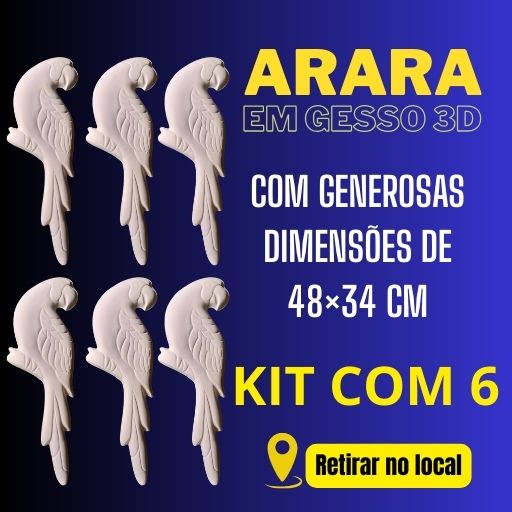 Colorir e aprender - arara gesso 3D grande KIT COM 6